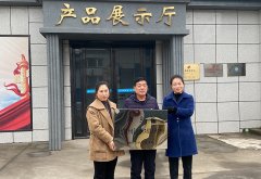 香港六和联盟宝典